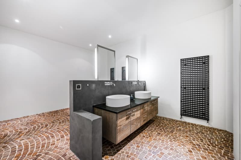 Superbe loft avec possibilité d'activité indépendante (13)