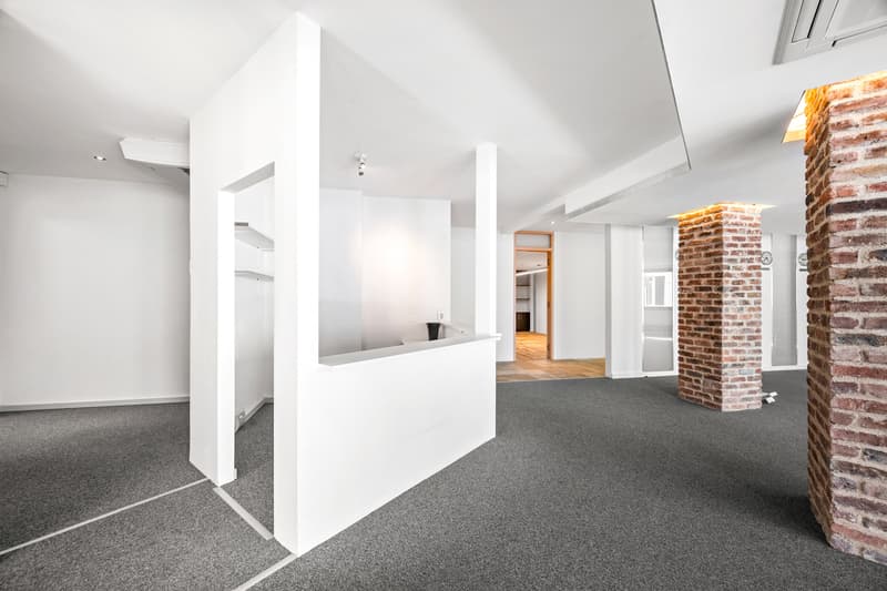 Superbe loft avec possibilité d'activité indépendante (10)