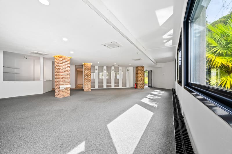 Superbe loft avec possibilité d'activité indépendante (9)