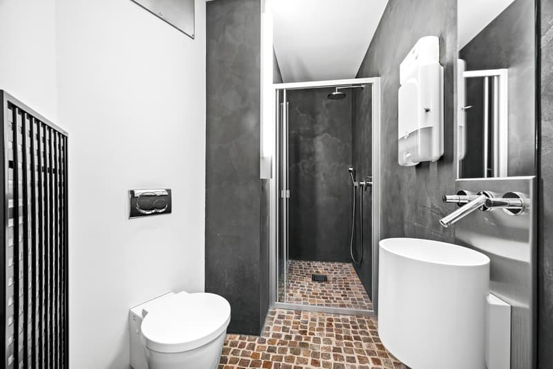 Superbe loft avec possibilité d'activité indépendante (12)