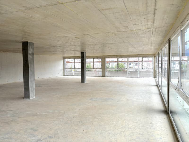 Atelier, locaux, bureaux de 4000 m2 divisibles à louer à Yverdon (2)
