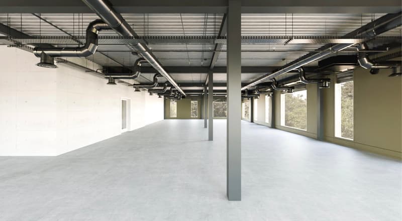 Ateliers, bureaux, locaux de 3780 m2 divisibles dès 400 m2 à construire à louer à Guin - Düdingen (2)