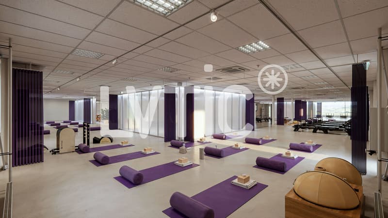 Showroom, bureaux, locaux de 1265 m2 divisibles à louer à Conthey (4)