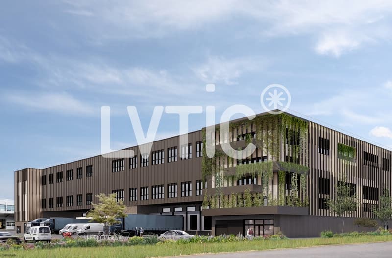 Ateliers, dépôts, bureaux de 9500 m2 divisibles à louer à Eclépens (7)