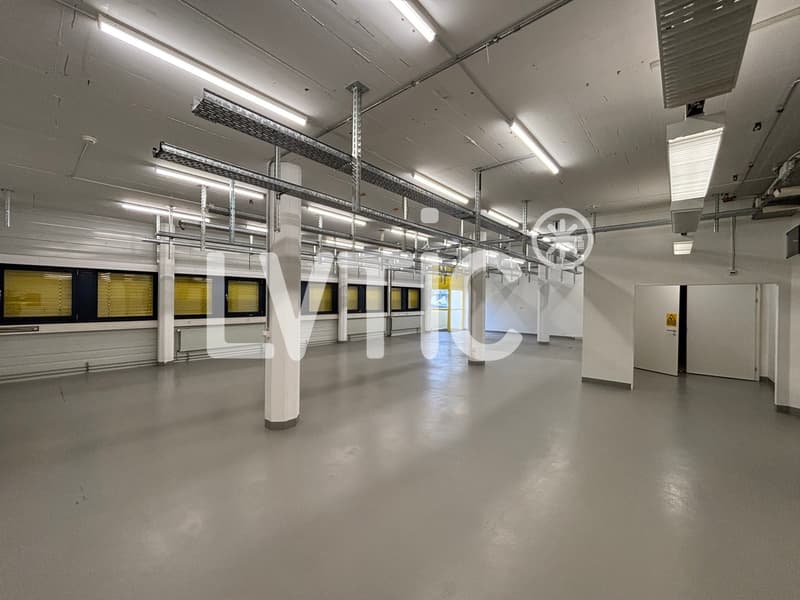 Atelier, labo, bureaux de 480 m2 divisibles à partir de 236 m2 à Gland (3)