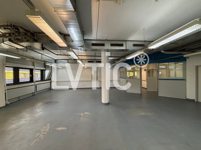 Atelier, labo, bureaux de 480 m2 divisibles à partir de 236 m2 à Gland (1)