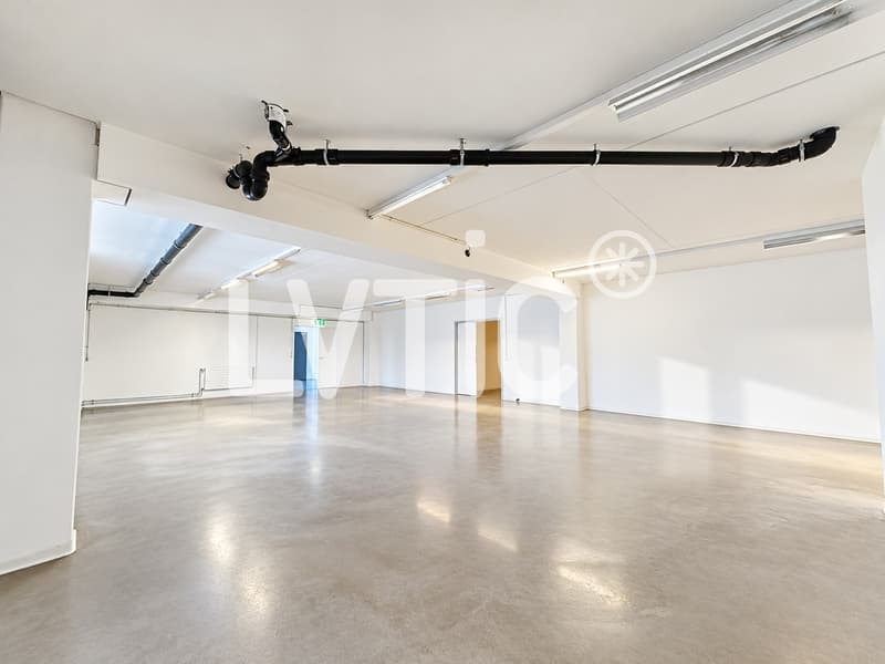 Locaux, production, dépôt, bureaux de 330 m2 à louer à Nyon (4)