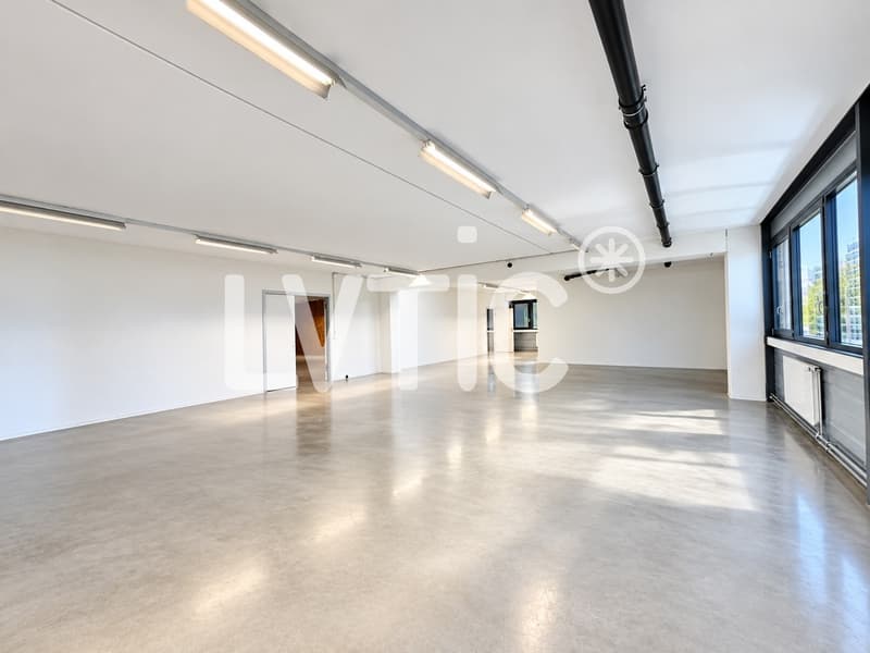 Locaux, production, dépôt, bureaux de 330 m2 à louer à Nyon (1)