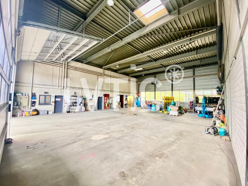 Bâtiment industriel sur parcelle de 11'750 m2 à vendre à Courrendlin (2)