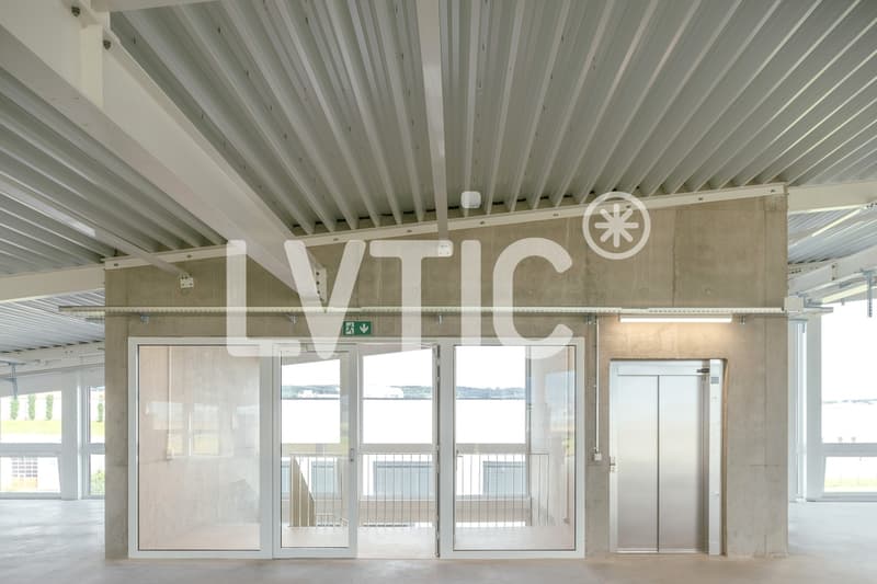 Atelier, labo de 800 m2 divisibles dès 300 m2 à louer à Chavornay (7)