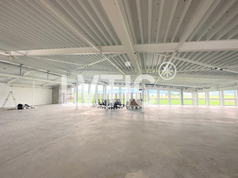 Atelier, labo de 800 m2 divisibles dès 300 m2 à louer à Chavornay (2)