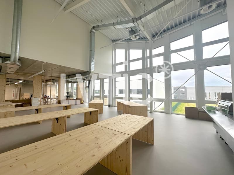 Atelier, labo de 800 m2 divisibles dès 300 m2 à louer à Chavornay (6)