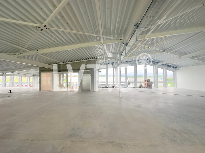 Atelier, labo de 800 m2 divisibles dès 300 m2 à louer à Chavornay (3)