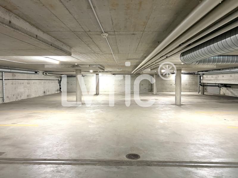 Dépôt de 2200 m2 divisibles dès 1500 m2 à louer à Meyrin - Satigny (9)