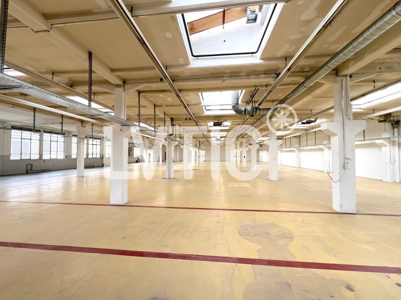 Ateliers, dépôts, locaux de 1370 m2 à louer à Cossonay (5)