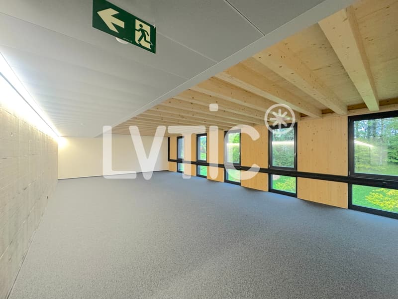 Locaux, bureaux, ateliers de 236 m2 à louer à Châtel-St-Denis (4)