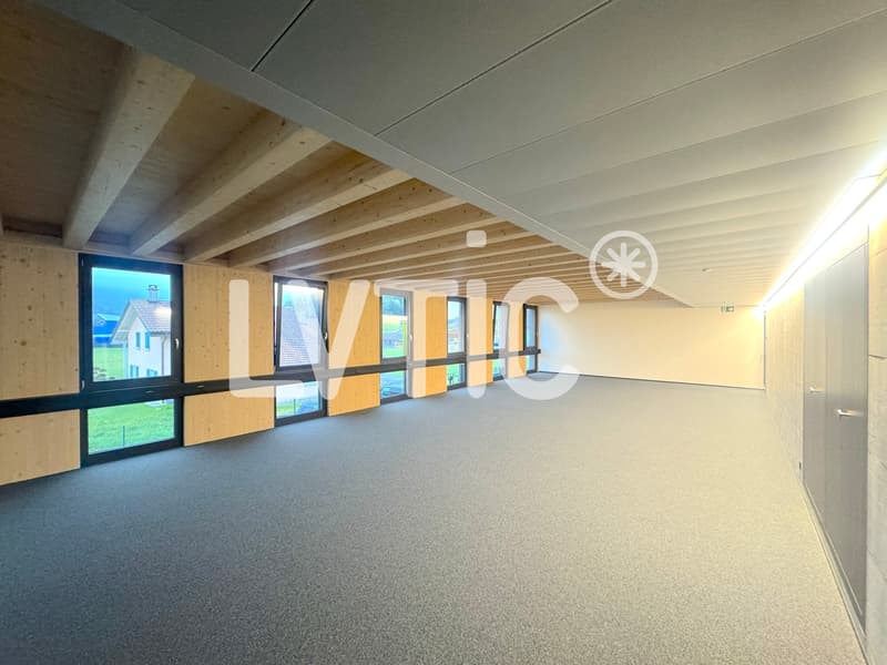 Locaux, atelier, bureaux de 245 m2 à louer à Châtel-St-Denis (4)