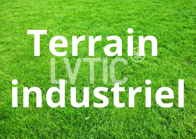 Terrain industriel de 11'000 m2 environ à vendre proche de Flamatt