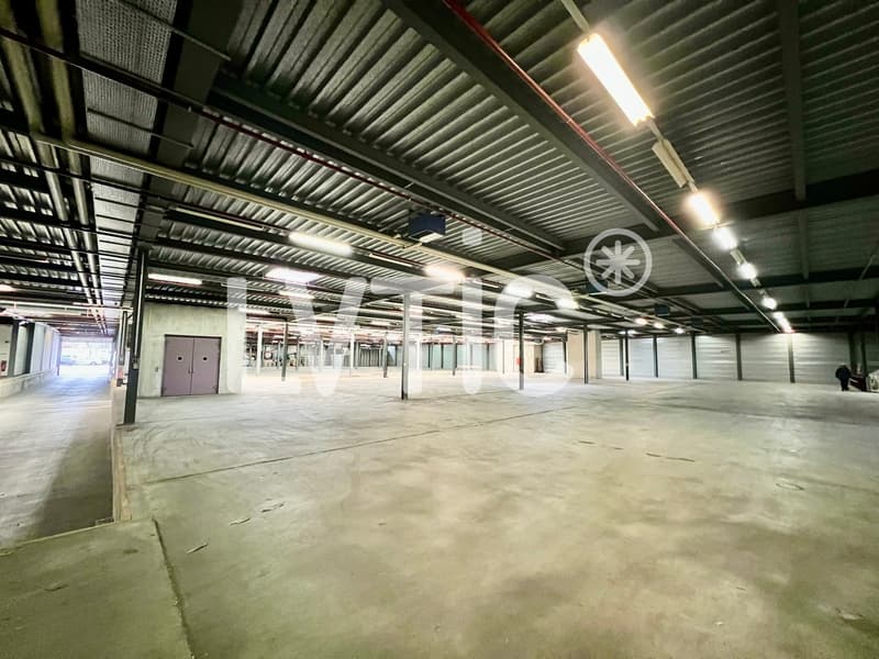 Dépôt logistique de 2200 m2 à louer à Etoy (3)