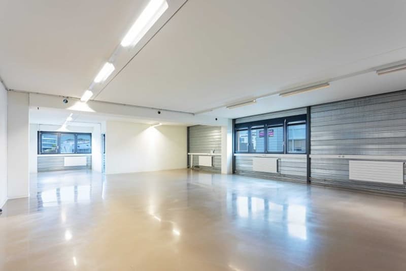 Atelier, laboratoire, dépôt, bureaux de 700 m2 à louer à Nyon (2)