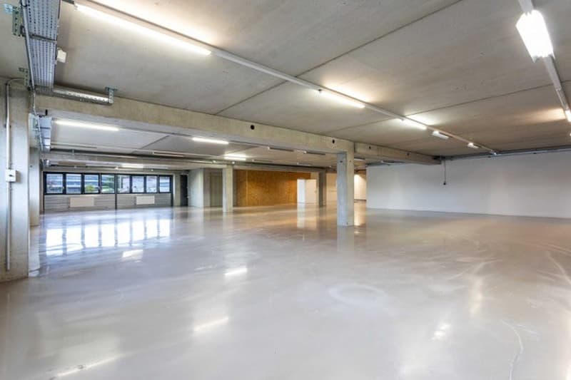 Atelier, laboratoire, dépôt, bureaux de 700 m2 à louer à Nyon (1)