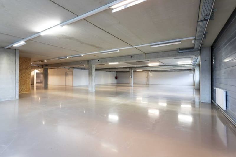 Atelier, laboratoire, dépôt, bureaux de 700 m2 à louer à Nyon (3)
