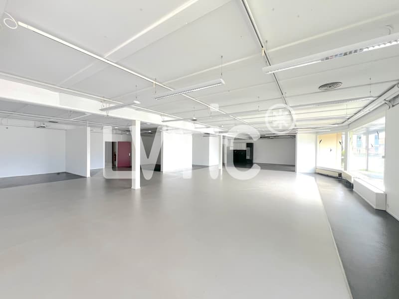 Halle industrielle, bureaux et surfaces extérieures à louer à Aigle (6)