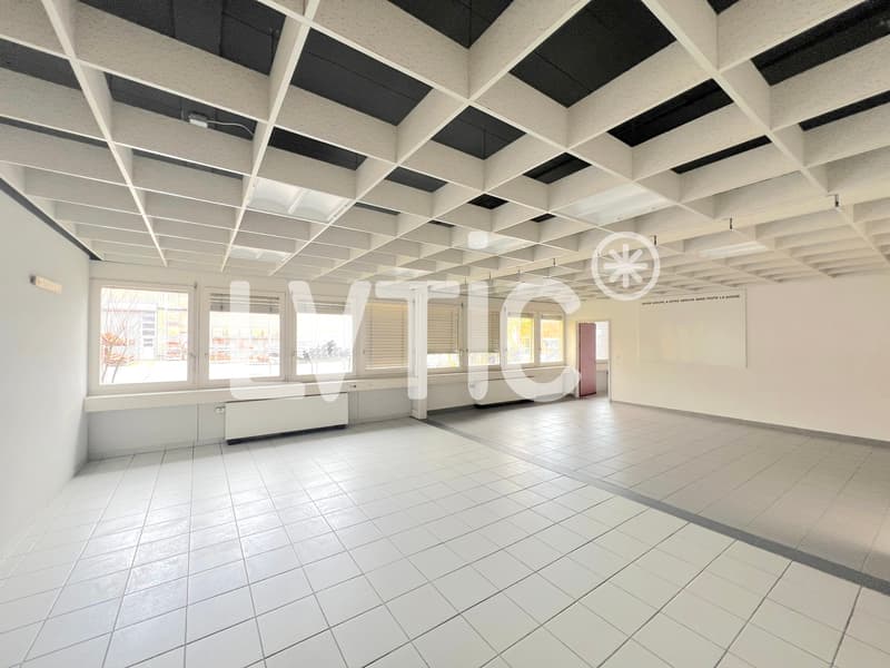 Halle industrielle, bureaux et surfaces extérieures à louer à Aigle (8)