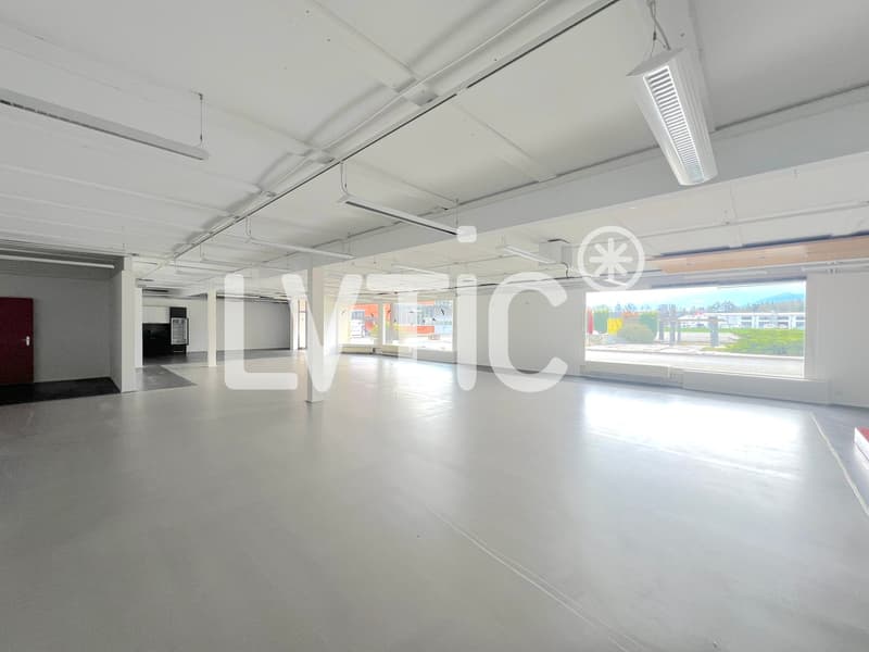 Halle industrielle, bureaux et surfaces extérieures à louer à Aigle (5)