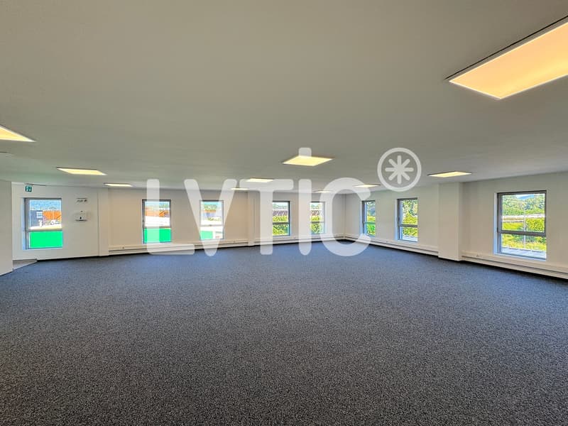 Bureaux, locaux de 166 m2 à louer à Villeneuve - Rennaz (2)