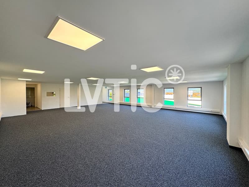 Bureaux, locaux de 166 m2 à louer à Villeneuve - Rennaz (3)