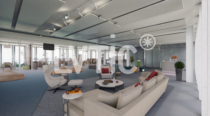 Showroom, dépôt, bureaux de 2300 m2 div dès 700 m2 à vendre à Crissier (2)