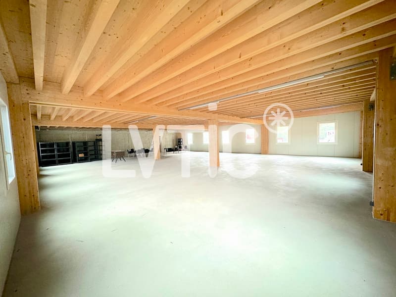 Bâtiment industriel de 1800 m2 sur parcelle de 1680 m2 à vendre Sierre (9)