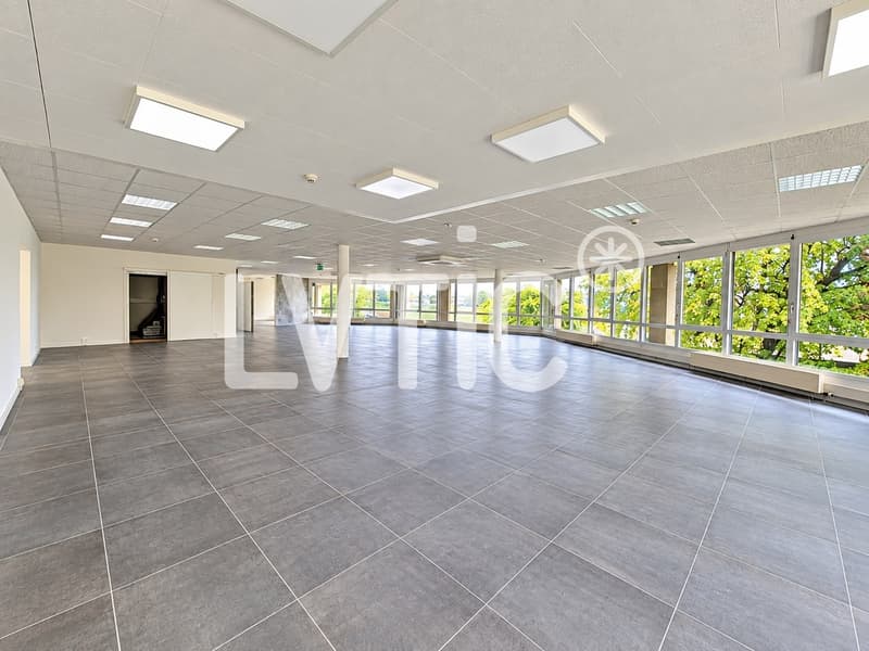 EXCLUSIVITÉ - Locaux de 640 m2 divisibles à louer à Crissier (6)