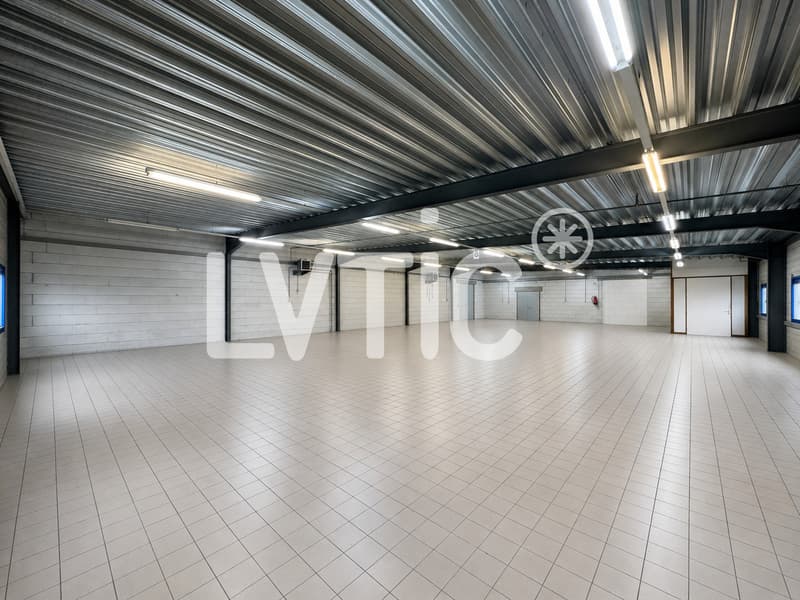 Halle industrielle de 795 m2 divisibles à louer à Yverdon - Treycovagnes (4)