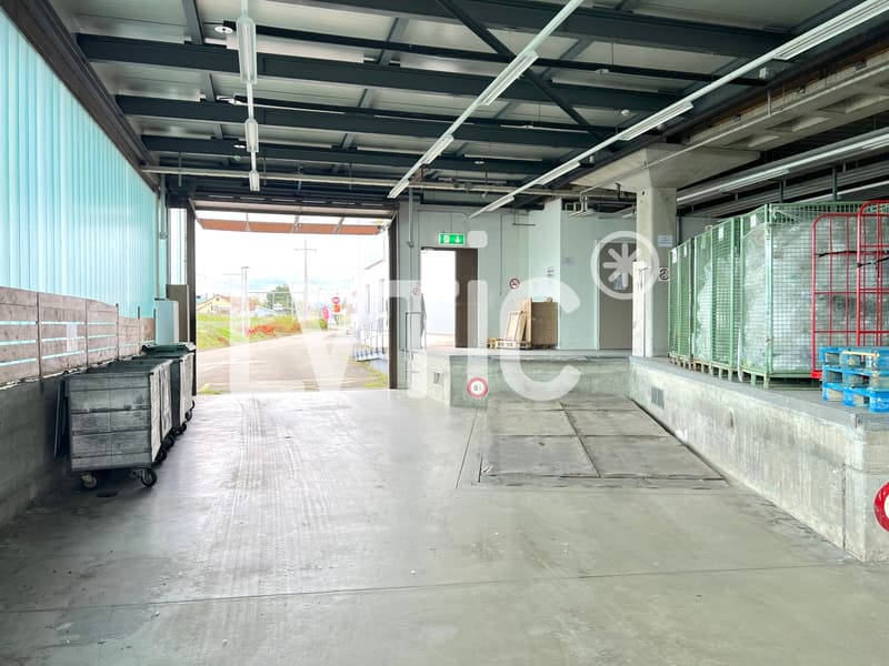 Locaux, showroom, bureaux de 325 m2 à louer à Etoy (4)