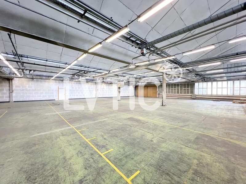 Dépôt, atelier de 850 m2 à louer à Crissier (3)