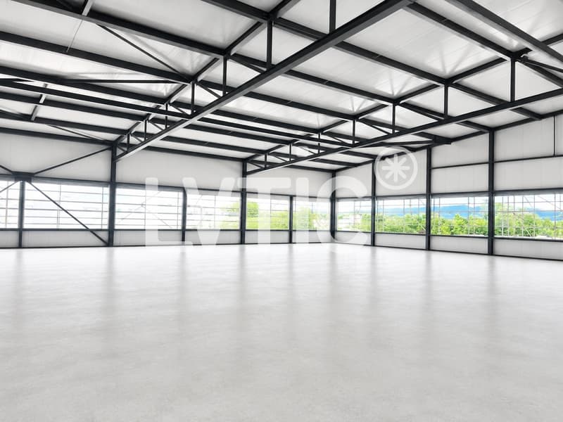 Halle industrielle, bureaux de 6600 m2 divisibles à louer à Domdidier (6)