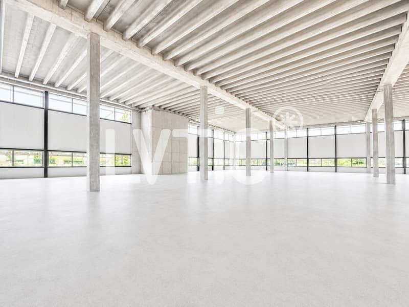 Halle industrielle, bureaux de 6600 m2 divisibles à louer à Domdidier (4)