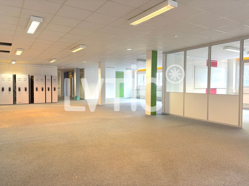 Ateliers, dépôts, bureaux de 1'600 m2 divisibles à louer à Renens (6)