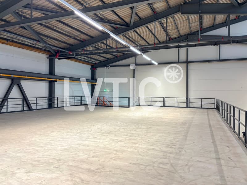 Dépôt de 500 m2 à louer à Orbe (4)
