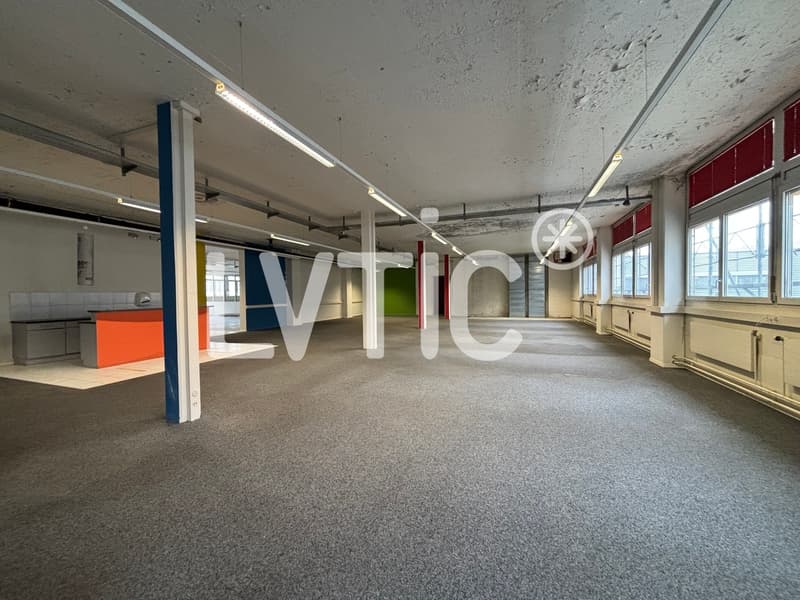 Ateliers, dépôts, bureaux de 760 m2 à louer à Renens (2)