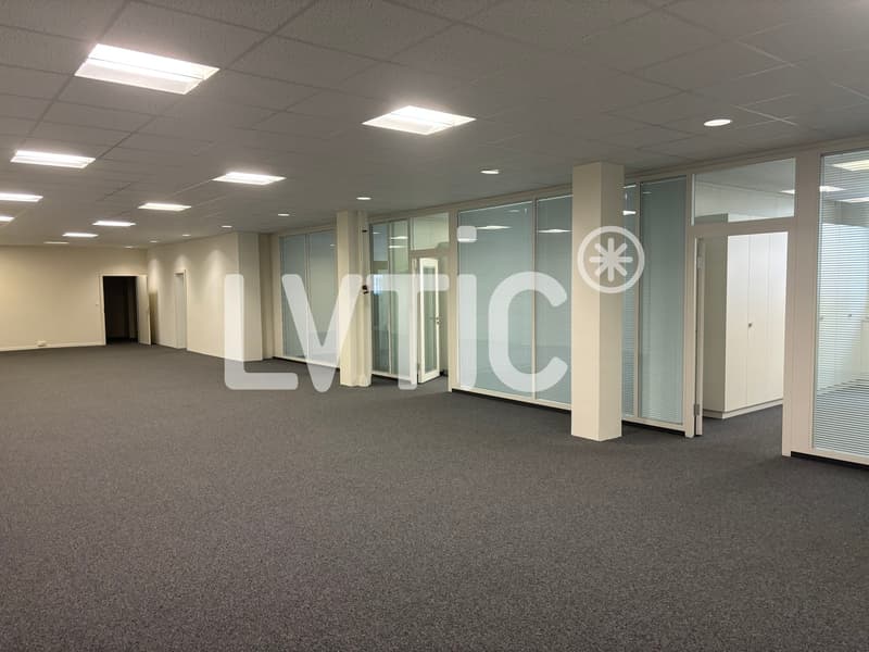 Ateliers, dépôts, bureaux de 800 m2 à louer à Renens (2)