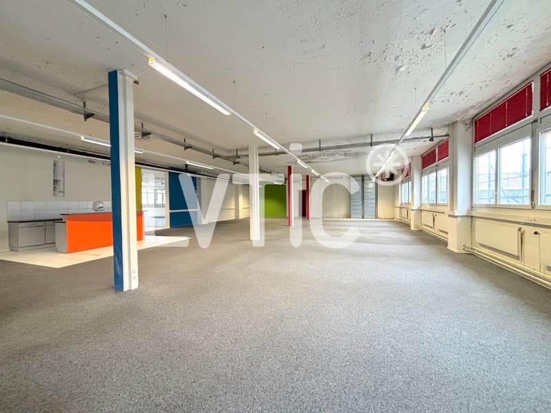 Ateliers, dépôts, bureaux de 800 m2 à louer à Renens (4)
