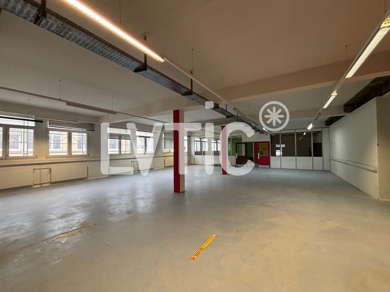 Ateliers, dépôts, bureaux de 760 m2 à louer à Renens (3)