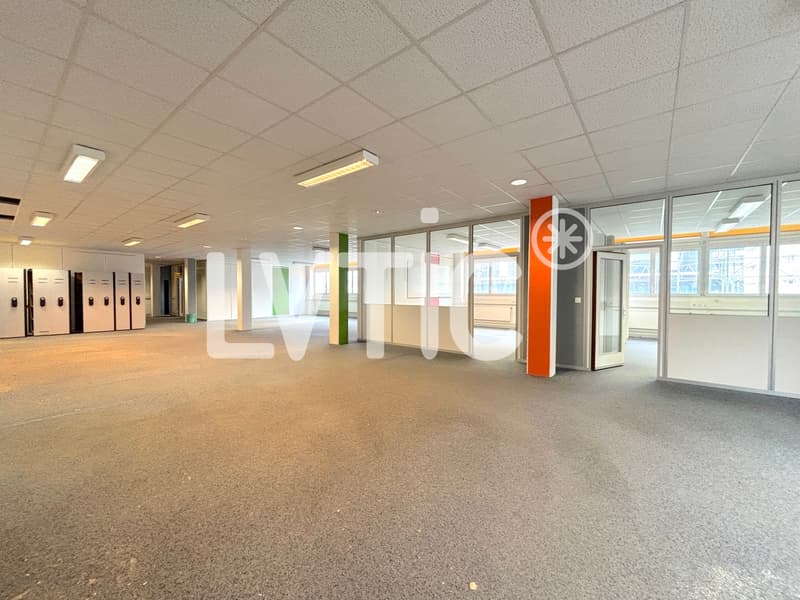 Ateliers, dépôts, bureaux de 800 m2 à louer à Renens (7)