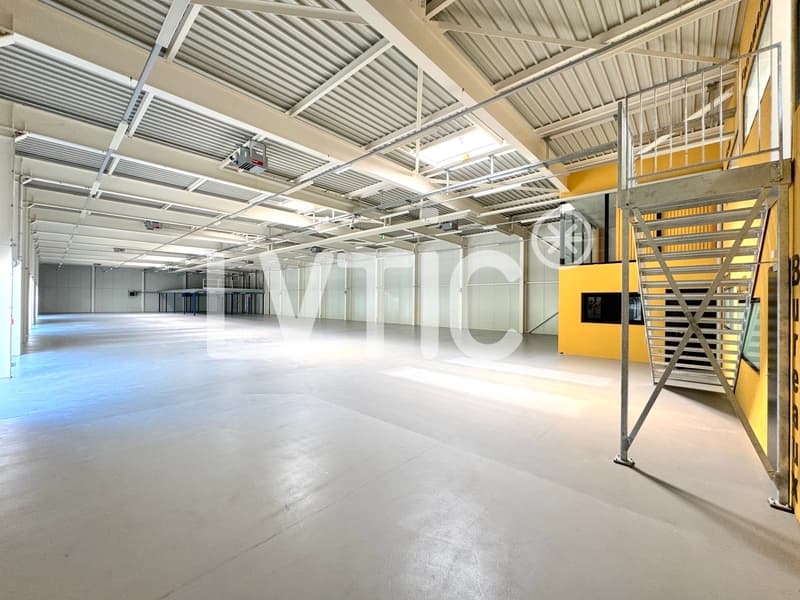 Locaux, showrooms, dépôts de 1165 m2 à louer à Yverdon (3)