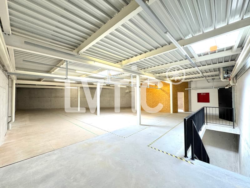 Locaux, showrooms, dépôts de 1165 m2 à louer à Yverdon (5)