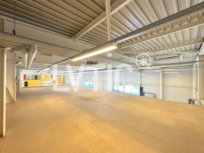 Locaux, showrooms, dépôts de 1165 m2 à louer à Yverdon (8)