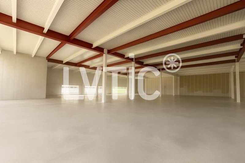 Ateliers, dépôts, bureaux de 1500 m2 divisibles à louer à Eclépens (7)